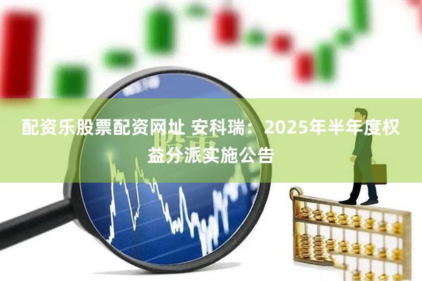 配资乐股票配资网址 安科瑞：2025年半年度权益分派实施公告